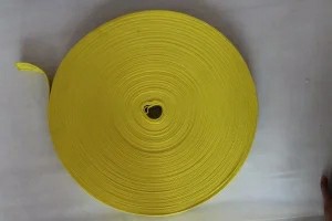 大黄50侧面.jpg 大黄50侧面.jpg